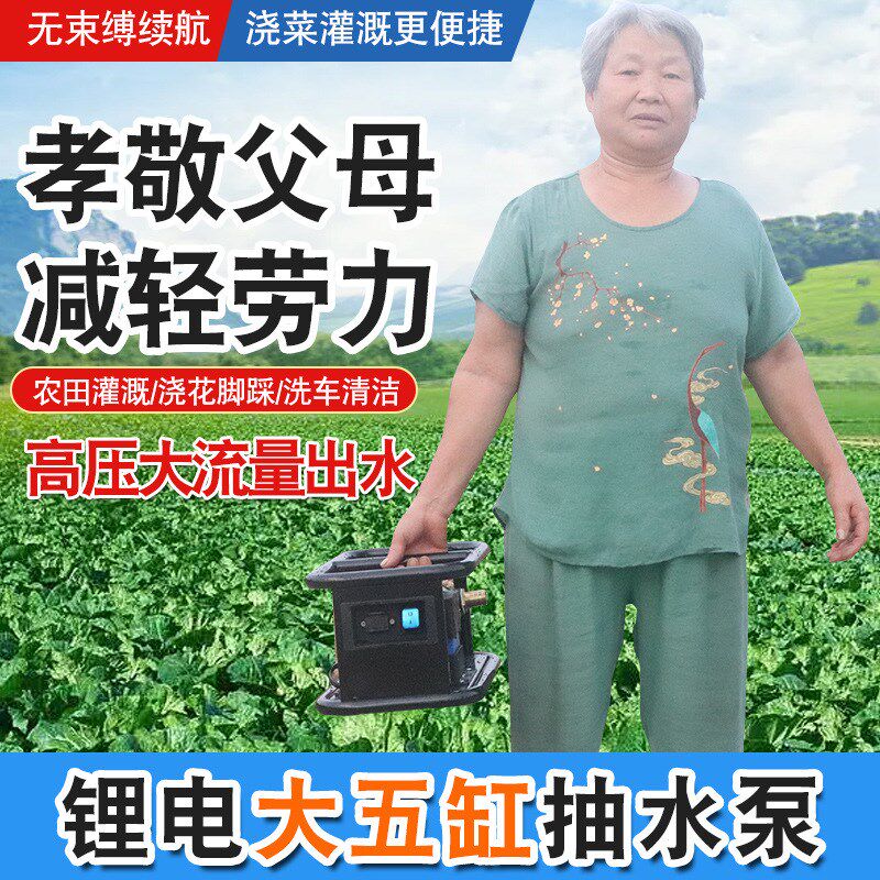 充电水泵大功f率农用灌溉浇菜机田地浇水神器浇水机浇地自动抽水
