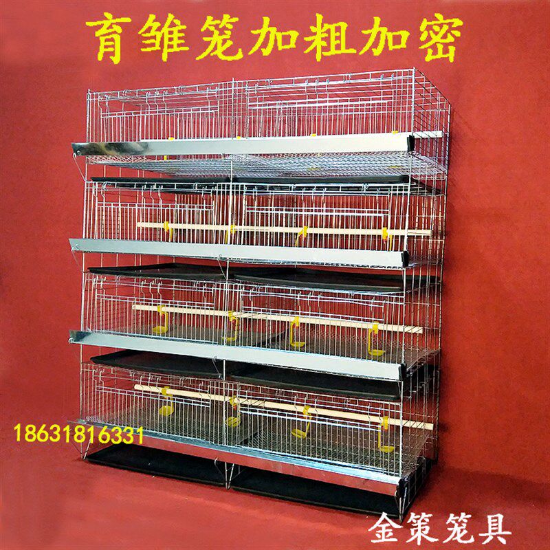 加粗加密育雏笼小k鸡笼雏鸡笼4层一体式弹簧门养殖繁殖鸡鸭苗笼子