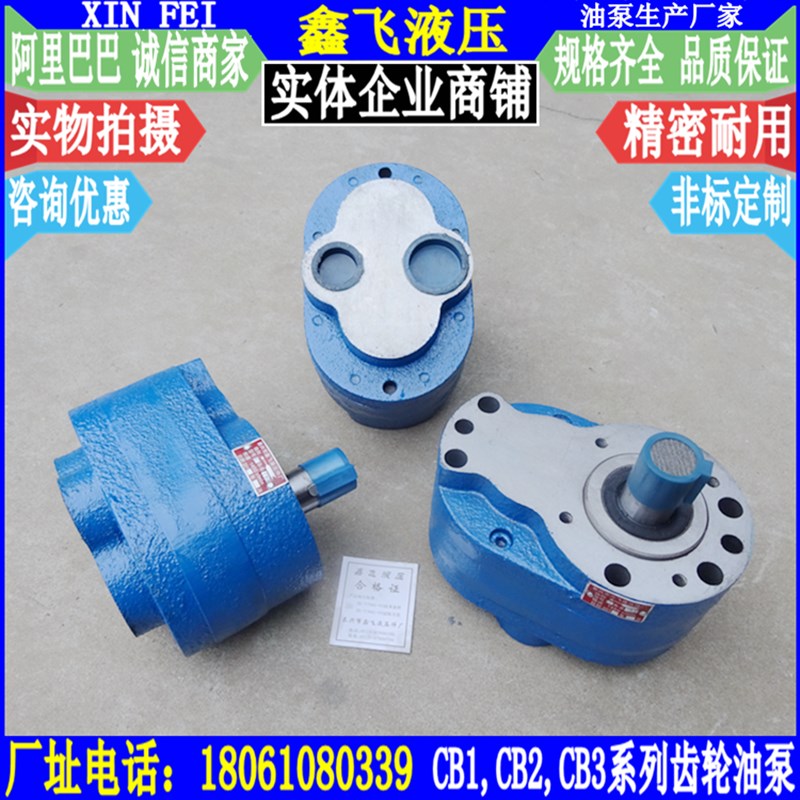 M7130平面磨齿轮泵CB2-B80斜齿轮泵CB2-B100 CB2-B125齿轮油泵DC