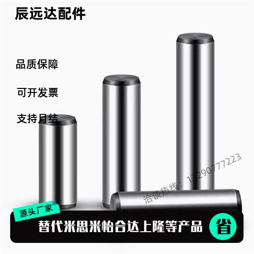 定位销 直杆型 / PBNA-D3-D4-L6-L8-L10-L15-L20-L25-L30-L35-L40