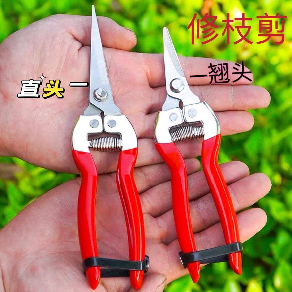 全钢修枝剪子葡萄摘果剪园林果树剪刀花剪省力树枝修花园艺剪刀