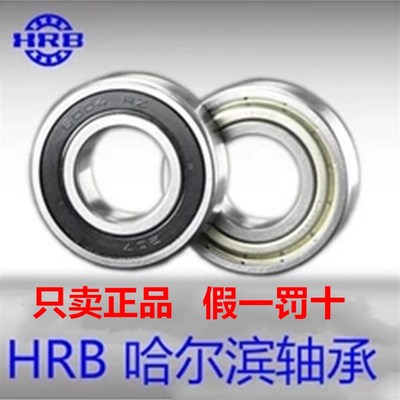 哈尔滨轴承6200 6201 6202 6203 6204 6206 6207 6208 6209ZZ/2RZ