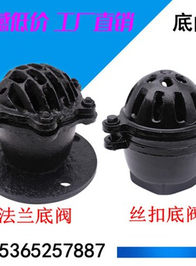 H42X-6法兰底阀铸铁丝扣底阀H12X升降式内螺纹单向阀水泵吸水底阀