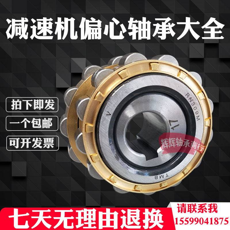 偏心轴承RN307 RN309M RN312 RN207 502309 M 502307摆线针减速机