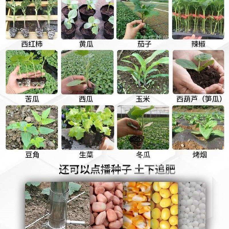 植苗器取土打洞插苗栽苗全自C动播种器定栽器豆W栽移角打孔奢