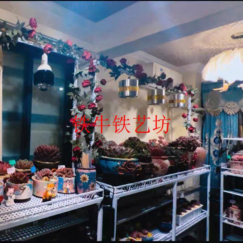 铁牛花架专用铁w艺花架室内简约筒灯架