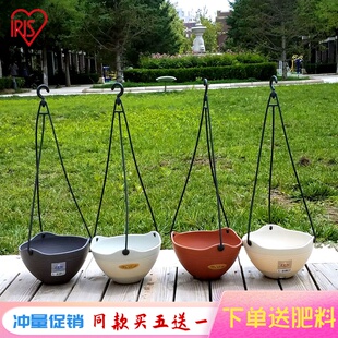 爱丽思吊盆树脂加厚挂钩塑料盆多肉植物盆垂吊花盆绿萝吊兰盆 包邮