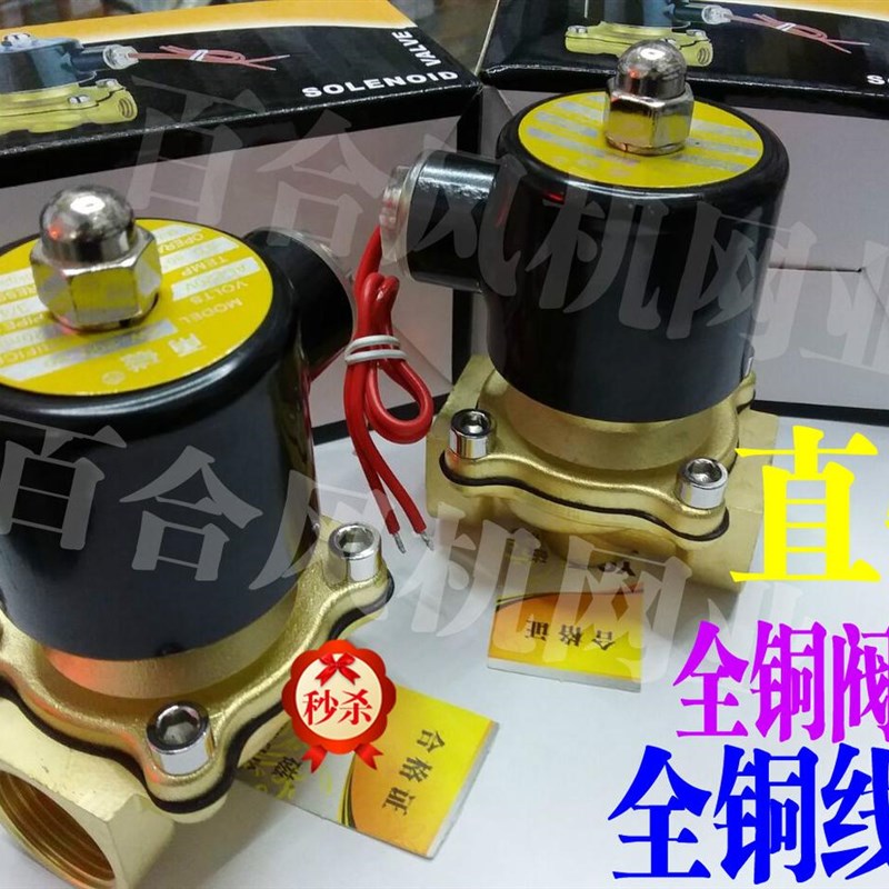 常闭常开电磁阀气阀水阀2W160-15 2W200-20 4分6分口径220V DC24V