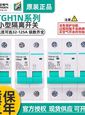 TGH1N天正HL30-125NH21P2P 3P4P63A100A导轨式隔离开关断路器