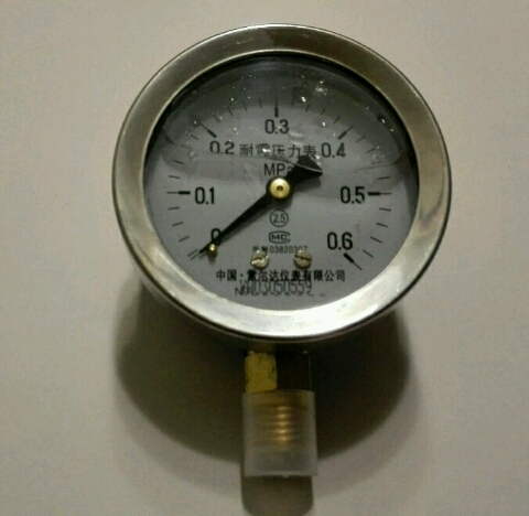 雷尔达 不锈钢外壳耐震压力表  YN-60 YN60 yn60i ytn-63 62mm