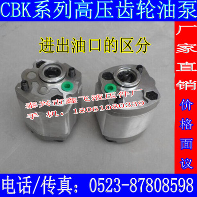CBK-F125 F130 F133 F140 F148 F153BL F180BL齿轮油泵F158 BL