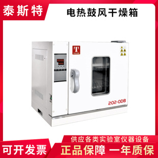 3DB 天津泰斯特 电热鼓风干燥箱 2DB 1DB 202 0DB