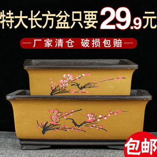 紫砂长方盆兰花盆景花卉绿植盆栽文竹特价促销透气特大号老桩点彩