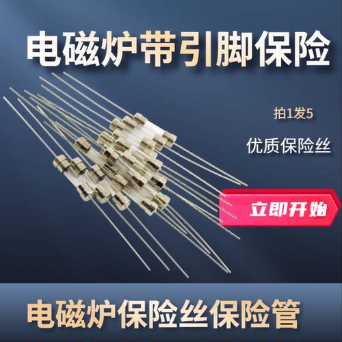 电磁炉玻璃保险管丝 5*20MM 10A 带引脚 带引线保险通用保险