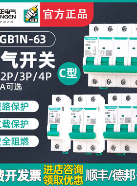 TENGEN天正TGB1N-63空气开关DZ47小型断路器1P2P3P32A电闸63A家用