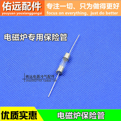带引线脚保险丝管 10A 250V 电磁炉保险丝管熔断器通用配件