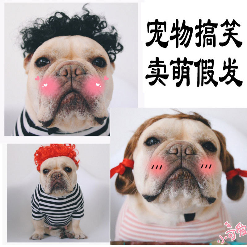 丁派特宠物狗狗猫咪帽子耍酷头套小公主辫子法斗假发卖萌搞笑头饰