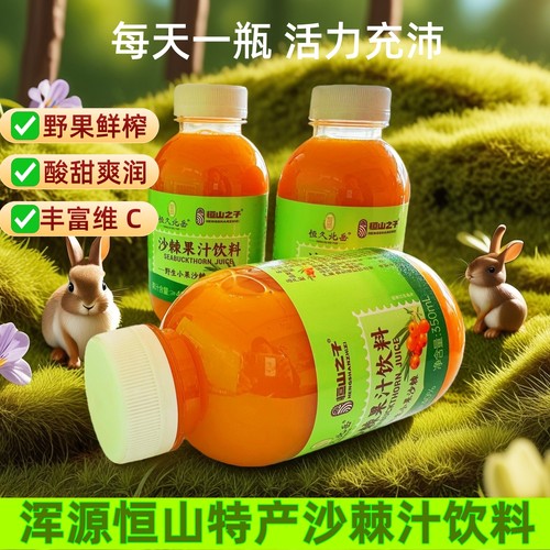 恒山之子沙棘汁酸甜爽润富维C