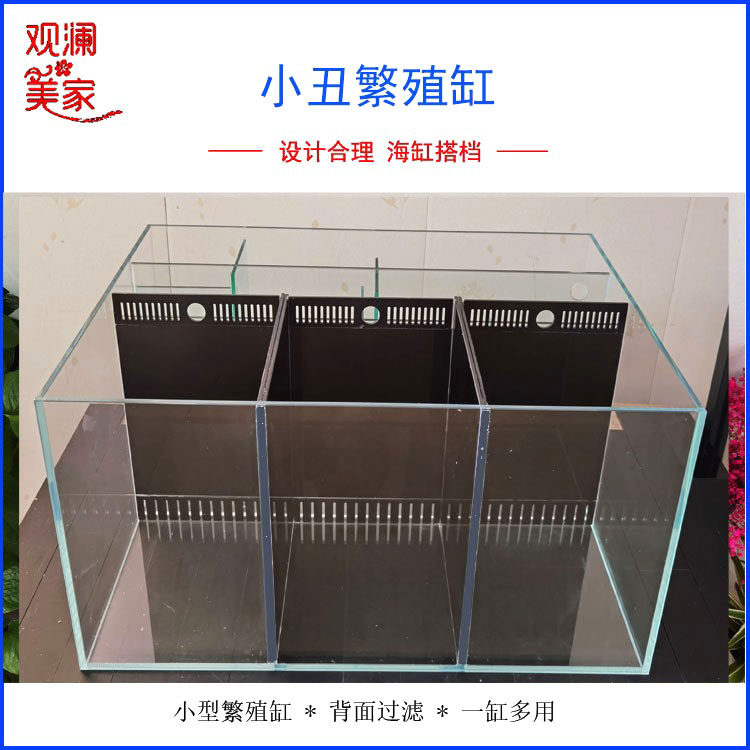 小丑繁殖缸/海缸背滤/小型海水缸/E 金晶超白/珊瑚小丑鱼/水族箱