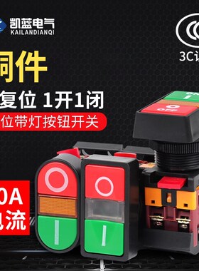 上海马可按钮APBB-22N-25N PPBB双键双位带灯 控制开关复位型铜件