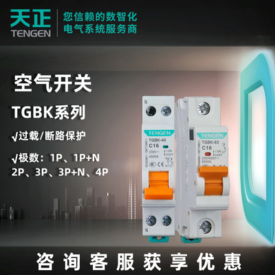 天正电气空气开关小型断路器TGBK-63系列C型空开