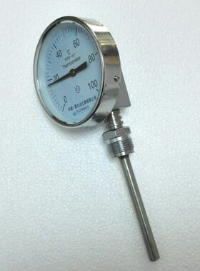 中国雷尔达仪表有限公司双金属温度计Wss-411 0-100 L=100mmM27X2
