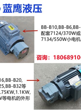 BB-B10菱形B6/B4/B16/B20/B32N同上海东高B25Y摆线油泵电机组JZ-1
