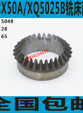 X60A铣床尖齿轮 X5025B铣床尖齿轮 X60A铣床伞型尖齿轮