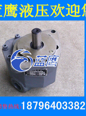 CB-FA25-FL CB-FA32/FA31.5/FA30/FA40/FA50-FL高压单级齿轮油泵