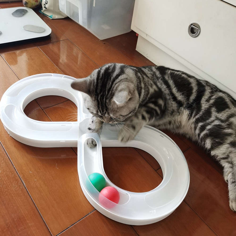 猫轨道球猫咪玩具转盘小猫幼猫宠物逗猫棒自嗨解闷神Y器猫球类玩
