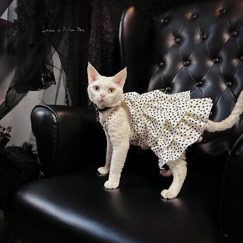 YH 小花蓬蓬蛋糕吊带裙 夏天薄款斯芬克斯无毛猫衣服德文 永禾