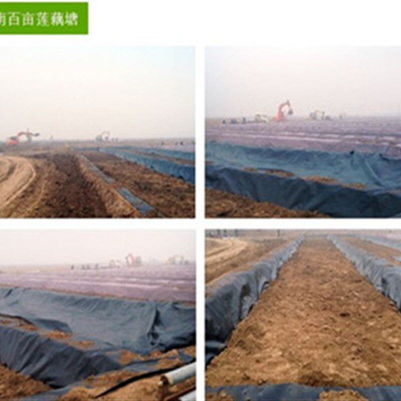 黑色防渗塑料薄膜养殖膜鱼塘专用地膜鱼池防水布藕池膜Z防护土工