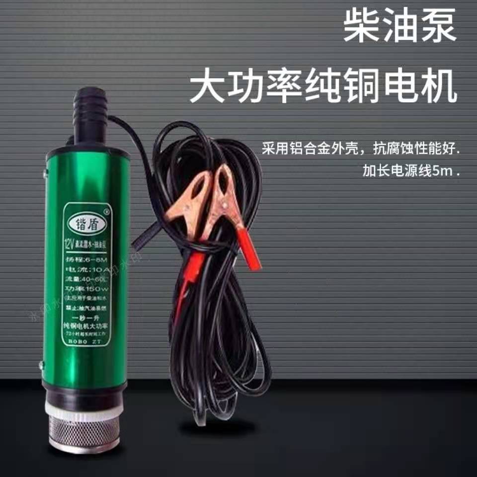 电动抽油泵油抽子 12V220伏油泵大功率抽油泵柴油油泵Z水泵潜水泵