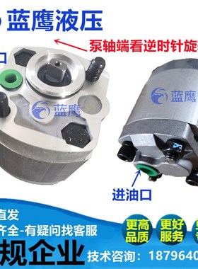 CBK-F125 F130 F133 F132 F140 F148 F153 F158 F180齿轮油泵 BL