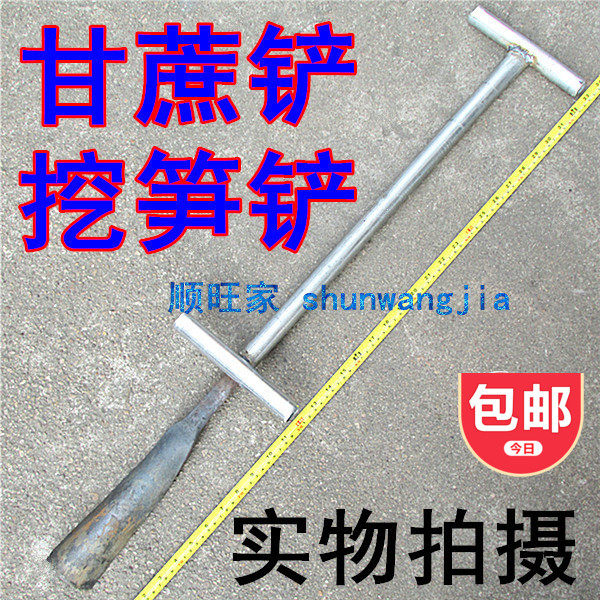 包邮甘蔗铲子挖笋洞锹挖树移栽花木竹笋电线杆洛阳铲园林园艺农具