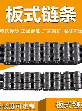 板式链条 LH0644 LH0834 LH0844 LH1034 LH1244 提升链 叉车链