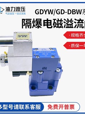 矿用防爆电磁溢流阀GD-DBW10B/GDYW-03-21-B/D24Z4隔爆液压溢流阀