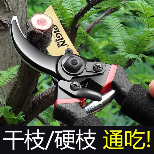 德国进口钢SK5修枝剪省力家用果树园林粗枝剪嫁接花艺园艺剪日本