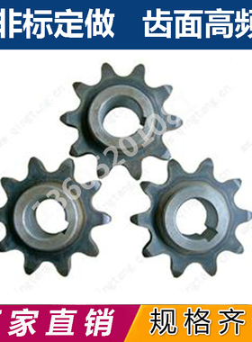 双驱假双排链轮定做定制图纸加工非标工业三排4分5分10a08B12A6分