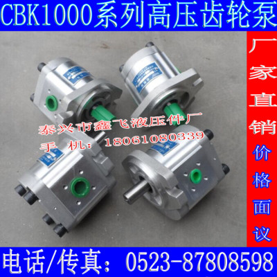 CBK1012 CBK1014 CBK1016 CBK1020 CBK1025齿轮泵B2RF B1RT B1LT
