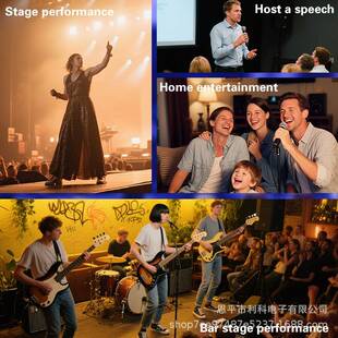 工直销G模私K16专业调音台户外演190出家庭K厂歌会议演讲设备