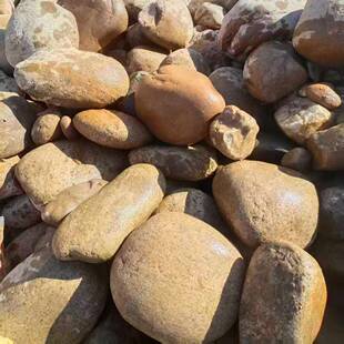 大天然型河卵石草坪景观石刻字鹅卵黄蜡石河冲石校庭院园林园头公