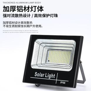 太阳灯能DF-100LE投光灯户外照亮庭院别墅泛光D太LED花园过道节能