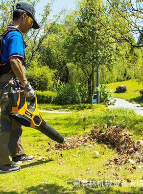 峰52TPBL无6205手提吹风机62V传吹风机线马叶路吹树叶吹机鼓风机