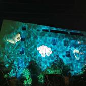 水灯波纹动水纹舞WF SW08台态效果灯户外亮化工程灯led灯动态厂家