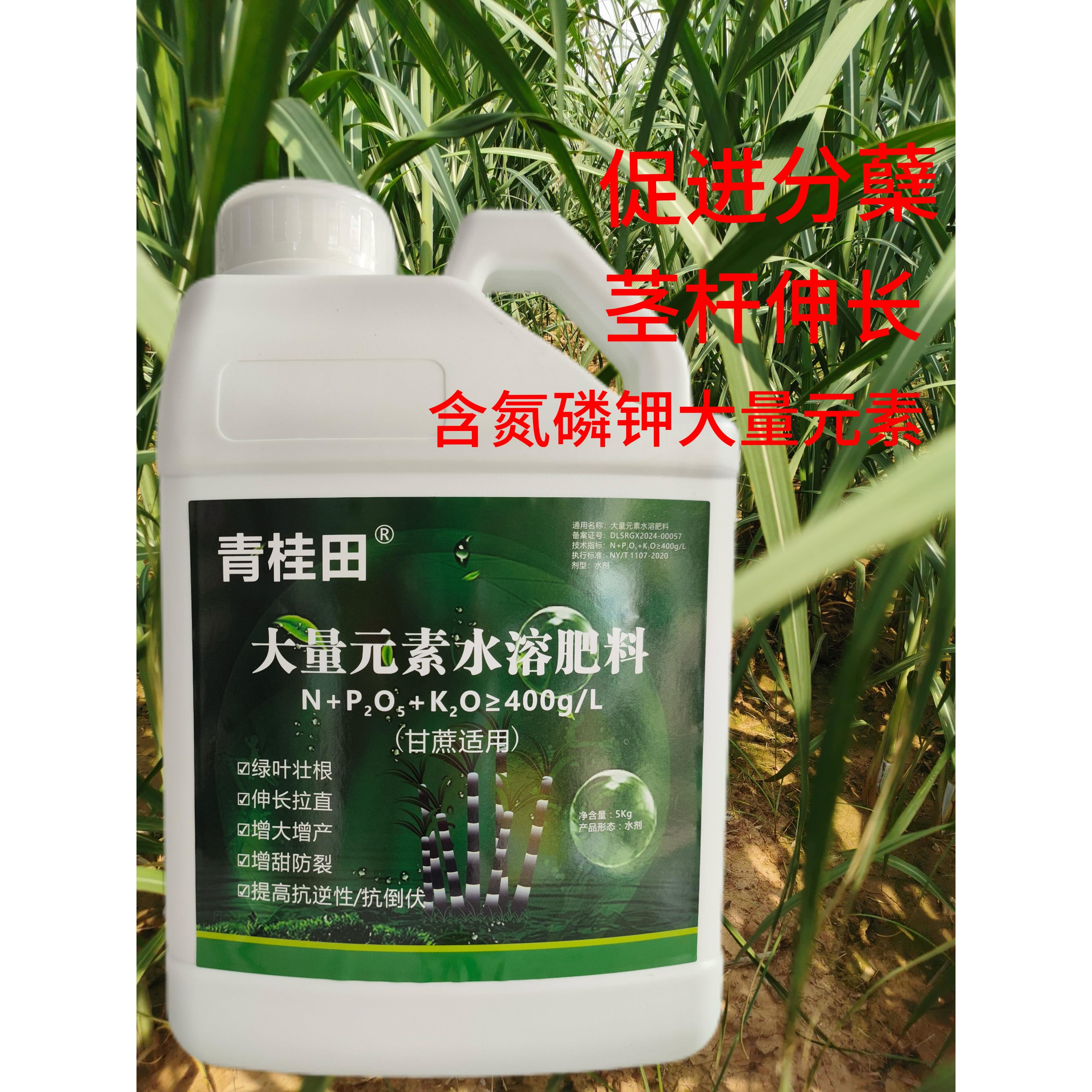 甘蔗拉长分蘖叶面肥甘蔗生根茎秆粗壮抗倒伏增甜增收强效农肥10斤