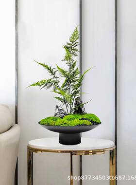 中式铁花1149仿真文竹永生器青苔盆栽艺书房茶室微关景观玄柜软装
