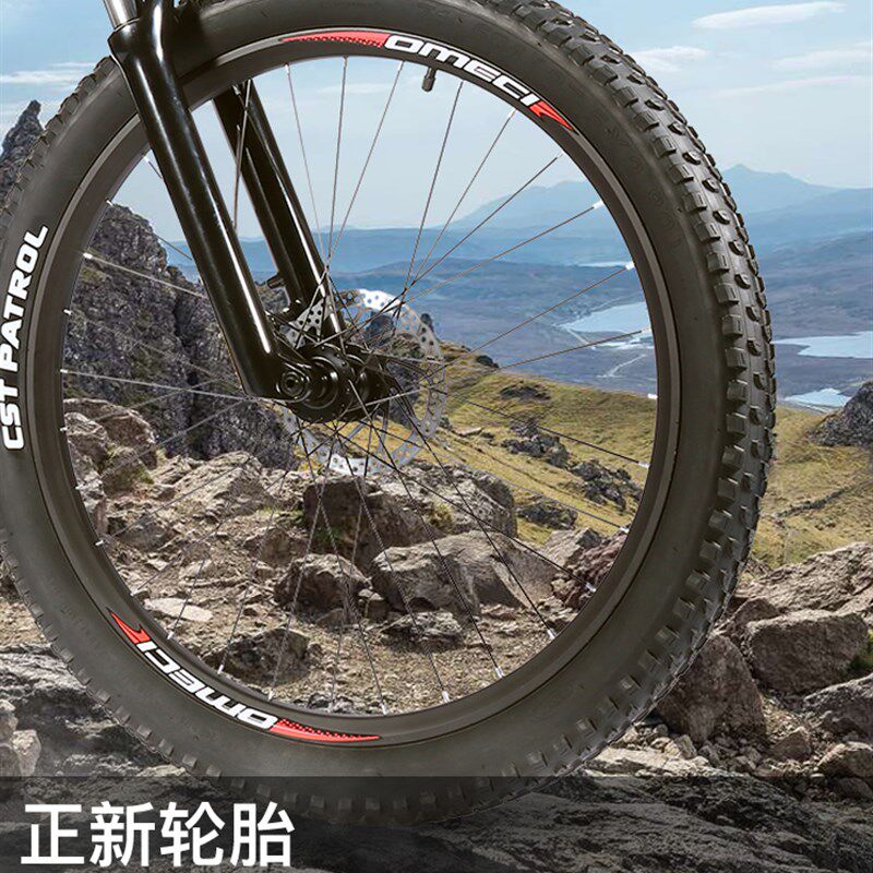 力矩电动助力山地自行车宽胎v27.5寸成人培林软尾越野锂电代步单