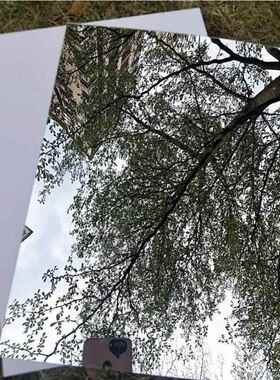 玻璃贴纸不怕可以贴在墙上的全身镜子卧室可贴S软塑料墙挂镜面板