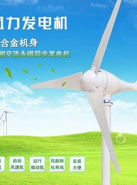 厂家直销小型风力发电机220V100W300W500W家用风光互补路灯12V24V